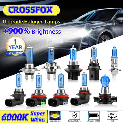 2Pcs H1 H4 H7 H11 H13 HB3 9005 HB4 9006 Car Headlight Bulbs 12V 100W H9 880 9145 9012 5202 Halogen Lamps 6000K White Fog Lights