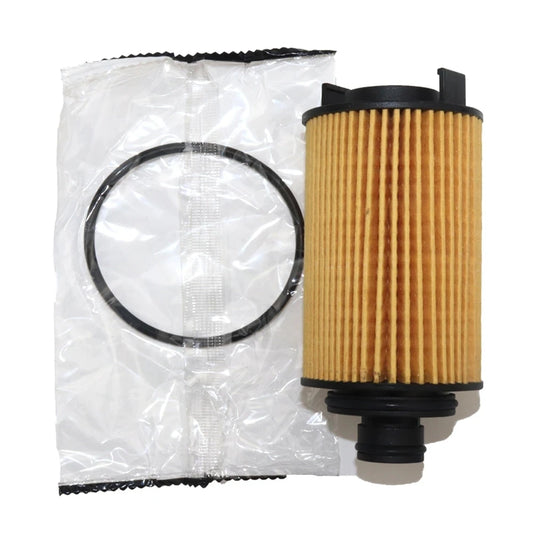 Filtre à huile pour DR 5.0 6 CHERY Tiggo 2 4 Pro 1.5T ARRIZO 7 1.6/ MAXUS T60/ MG HS GS ROEWE 950 RX5 RX8/BEIJING X7 pièces 3101000013 (livraison : 5 à 12 jours)